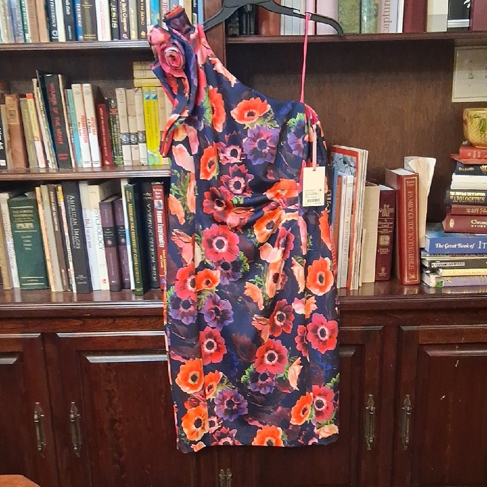 Alex Marie Floral Dress in Red and Blue